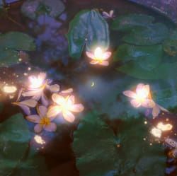 Water Lilies, Le Vent Se Leve, Fairy Aesthetic, Magic Aesthetic, Fantasy Map, Alam Semula Jadi, Ethereal Art, Map Design, Nature Aesthetic