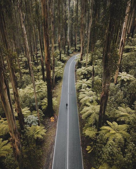 Landscape Photography Tips, Perjalanan Kota, Nature Photography Trees, Fotografi Urban, Aerial Photography Drone, Drone Images, Belle Nature, Beautiful Roads, Photography Beach