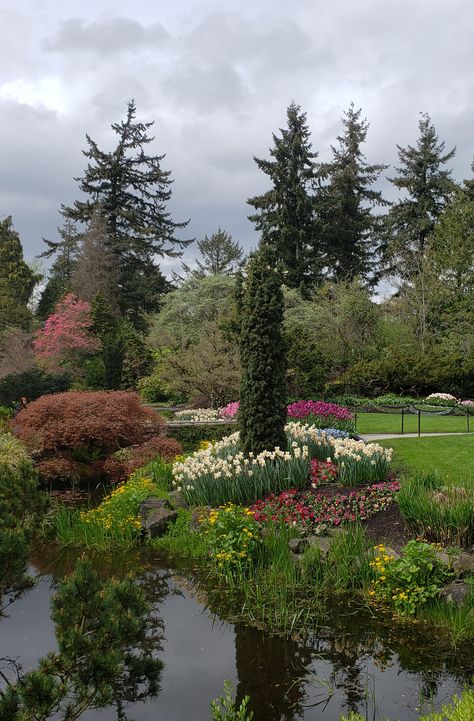 Don't Miss A Visit To Beautiful Queen Elizabeth Park In Vancouver - Canada. #Vancouver#vancouverbc #vancouverattractions #flowers Tourism Video, Queen Elizabeth Park, Canada Vancouver, Canada Images, Beautiful Queen, Vancouver British Columbia, Vancouver Canada, Miss A, Water Park