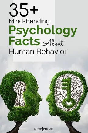 35+ Mind Bending Psychology Facts About Human Behavior Psychology Of Human Behavior, Best Psychology Books On Human Behaviour, Human Physiology Facts, Psycology Tips Study, Psychology Tricks Life Hacks, Human Behavior Psychology Books, Phsycology Facts About Human, Line Psychology, Human Mind Psychology