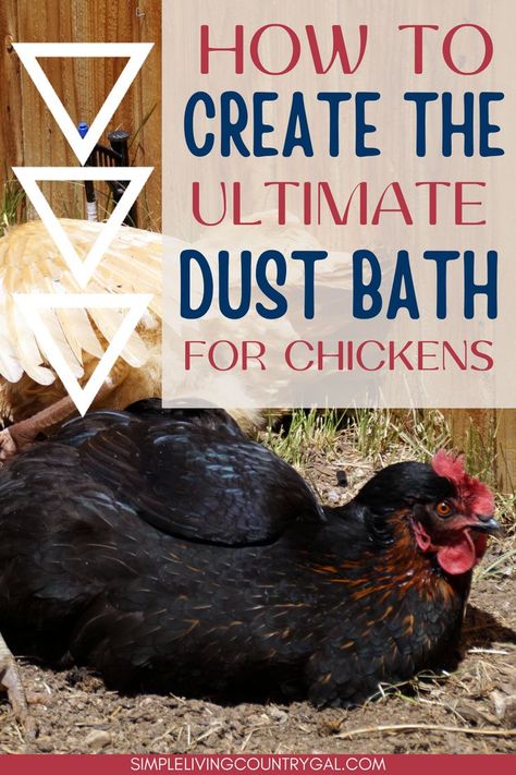 DIY chicken coop dust bath. How to set up a dust bath for your chickens. What is needed in a dust bath. Do chickens need a dust bath? Adding a dust bath to your coop is vital for your hen's health and well being. Easy to follow instructions for a low-cost dust bath. Chicken Dust Bath, Workbench Table, Play Sand, Chicken Tractors, Dust Bath, Homestead Chickens, Chicken Life, Chicken Health, Raising Backyard Chickens