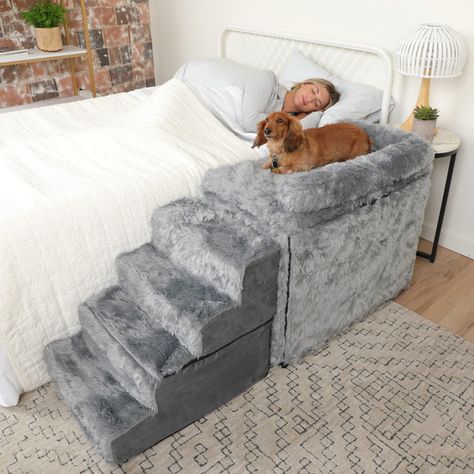 Dog Co Sleeper Bed, Dog Bed Set Up In Room, Puppy Stairs To Bed, Bedroom Ideas With Pets, Cute Dog Decor Ideas, Loft Dog Bed, Dog Bed With Stairs, Elevated Pet Bed, Living Room Dog Area