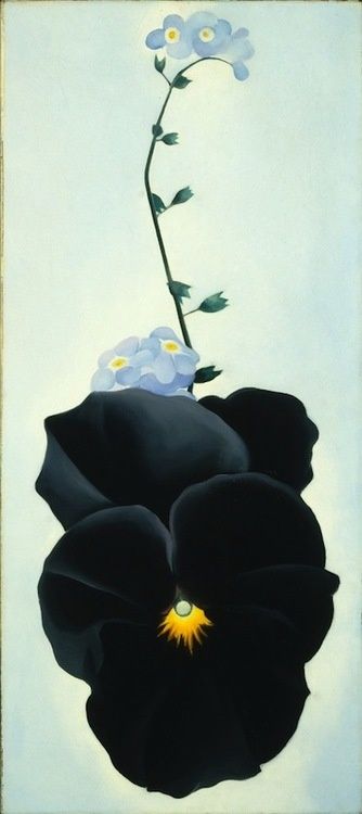 georgia okeefe black iris pics | Georgia O’Keeffe Alfred Stieglitz, Georgia O'keefe Art, Georgia O Keeffe Paintings, O Keeffe Paintings, Georgia O'keeffe, Georgia Okeefe, Art Classique, O Keefe, Georgia O Keeffe