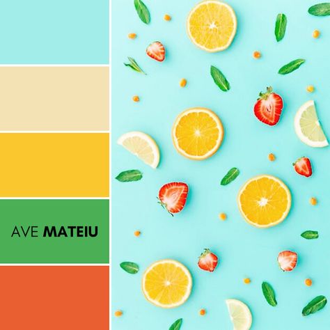 20 Summer Color Palettes and Hex Codes | Ave Mateiu Picnic Color Palette, Healthy Color Palette, Fruit Color Palette, Fruit Inspiration, Food Moodboard, Organic Color Palette, Palette Summer, Summer Color Palettes, Combination Color