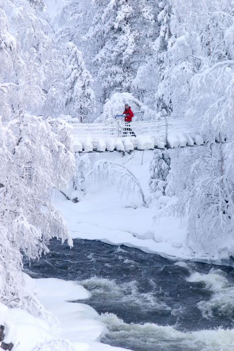 Bridge over Myllykoski falls in Oulanka National Park / Photo: Kimmo Salminen Lappland Finland, Finland Winter, Nordic Winter, Finnish Lapland, Finland Travel, Lapland Finland, National Park Photos, Winter Photos, Winter Magic