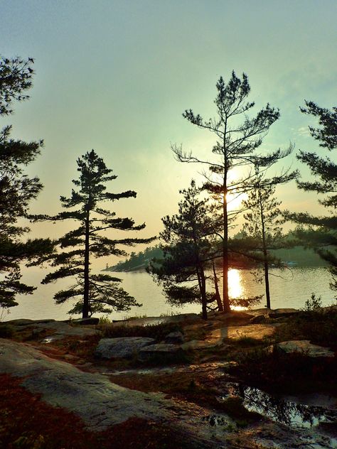 Nature, Canadian Landscape Photography, Trees Photos, Camp Mugs, Canadian Landscape, Camping 101, Beauty Planet, Georgian Bay, Lake Sunset