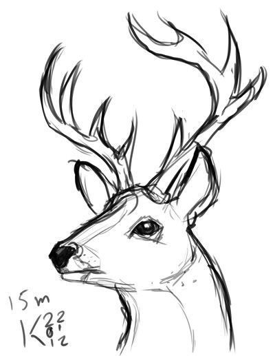 Drawing Tutorials, Drawing Faces, Deer Drawing, Animal Drawings Sketches, Siluete Umane, Cool Pencil Drawings, Sketches Easy, Pencil Art Drawings, Animal Sketches