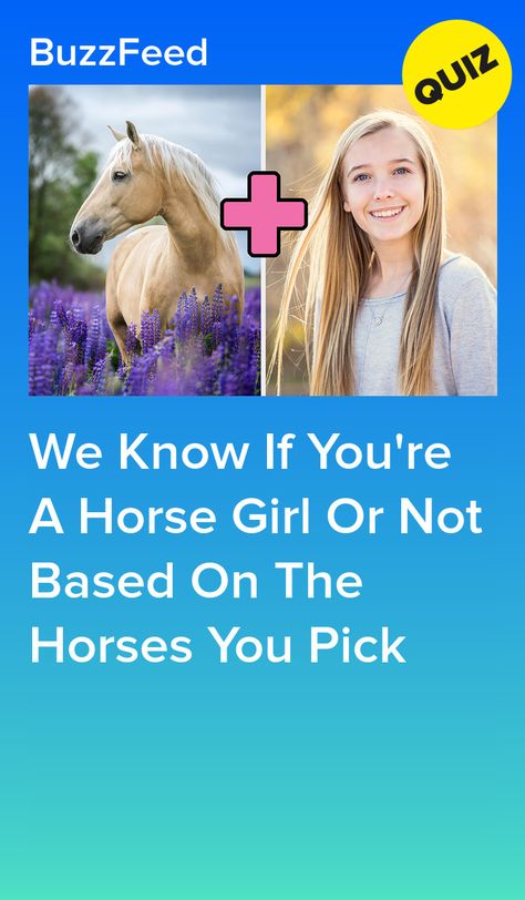 We Know If You're A Horse Girl Or Not Based On The Horses You Pick Quotes For Horses, Pretty Horses Aesthetic, Which Horse Would You Choose, English Horse Names, What Horse Breed Am I Quiz, Pretty Horse Breeds, Horse Pictures Aesthetic, Horse Tail Braid Ideas, Horse Things To Buy