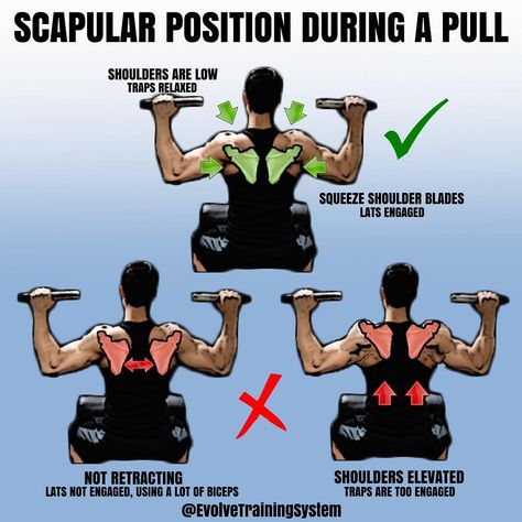 Lat Pull Down Exercises For A Defined Back! To engage your lats properly during a pull there are a few things to consider and be aware of.Grips length - Scapular position, Spine position, Pulling through the elbows ,A great mind to muscle connection. Learning all those attributes will help you get the most of your back/ pull sessions. These skills are all translated to most back exercises anyways. Might as well do it right.Having your shoulders blades sit properly is crucial to “feel” your lats. Lat Pull Down Form, Gym Form, Weight Training Plan, Gym Plan, Weight Training Workouts, Body Weight Training, Popular Workouts, Workout Supplements, Fitness Bodybuilding