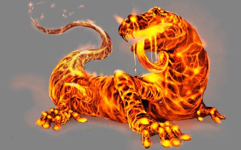 Fire Lizard, Fire Salamander, Dnd Monsters, Nature Spirits, Fantasy Creatures Art, Fantasy Monster, Mythical Creatures Art, The Skull, Monster Design