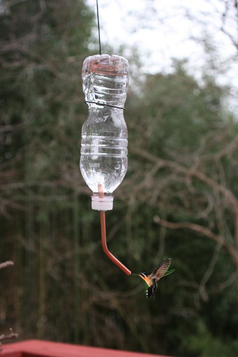 DIY Hummingbird feeder.  Read the instruction and it's quite easy.  Will be a great project for my kids. Homemade Hummingbird Feeder, Diy Hummingbird Feeder, Empty Plastic Bottles, Reuse Plastic Bottles, Glass Hummingbird Feeders, Homemade Bird Feeders, Hummingbird Feeders, Hummingbird Garden, Diy Bird Feeder