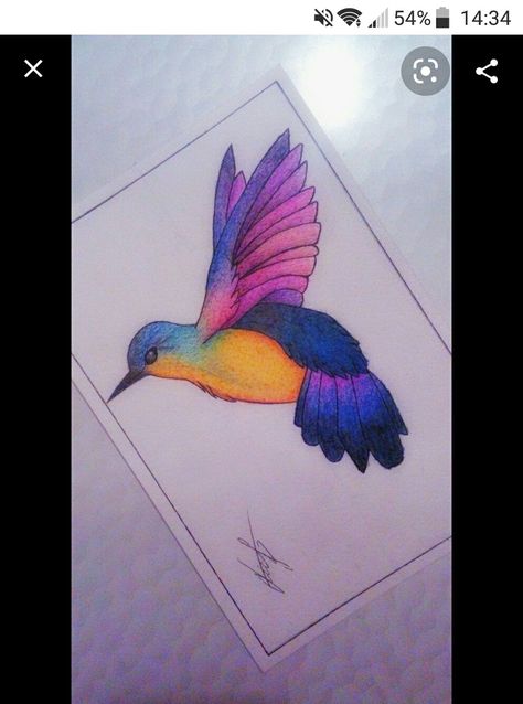 Colored Pencil Art Drawings Easy, Bird Drawings Pencil Coloring, Pencil Color Drawing Animals, What To Draw With Colored Pencils Easy, Color Pencil Easy Drawing, Drawings Of Birds Simple, Bird Drawing Colored Pencil, Pencil Color Drawings Easy, Bird Color Pencil Drawing