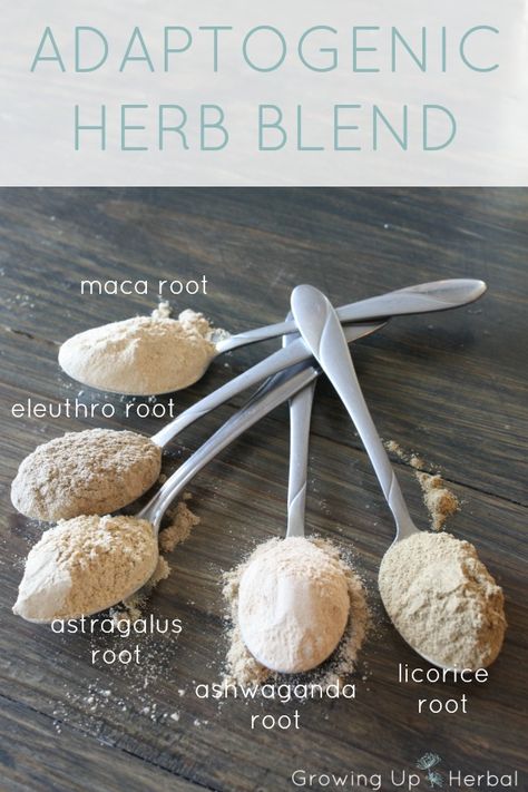 Boost Your Child's Body With This Adaptogenic Herb Blend | GrowingUpHerbal.com - help your child deal with sickness and stress with this DIY adaptogenic herb blend. It tastes great! Adaptogenic Herbs, Herbal Recipes, Herbal Healing, Cold Home Remedies, Natural Cough Remedies, Cough Remedies, Healing Herbs, Natural Health Remedies, Medicinal Herbs