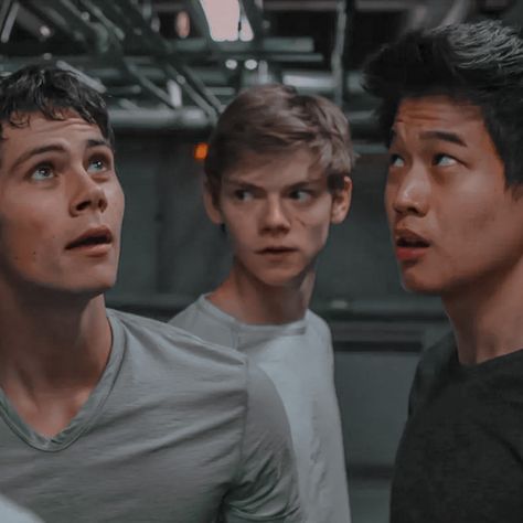 Thomas Newt Minho, Thomas Maze Runner, Maze Runner 1, Maze Runer, Maze Runner The Scorch, Maze Runner Thomas, Maze Runner Trilogy, Maze Runner Imagines, Maze Runner Cast