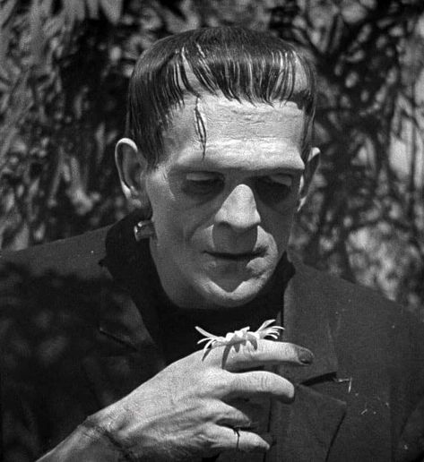 Boris Karloff Frankenstein, Frankenstein 1931, Hollywood Monsters, Universal Studios Monsters, Frankenstein Art, The Modern Prometheus, Creepy Photos, Boris Karloff, Lubbock Texas