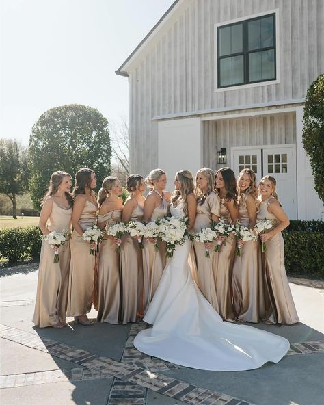 Let’s hear it for the bride @kendylemilyscherer 🥂 Featuring the Shiny Satin bridesmaid dresses in Gold #BIRDYGREY #birdyinthewild Photographer: @emilyfigurelliphotography Beige And Gold Bridesmaid Dresses, Beige Satin Bridesmaid Dress, Tan Wedding Bridesmaid Dresses, Classy Wedding Bridal Party, Champagne Bridesmaid Dresses With Bride, Cute Wedding Bridesmaid Dresses, Champagne Winter Bridesmaid Dresses, March Bridesmaid Dresses Color Schemes, Champagne Bronze Bridesmaid Dresses