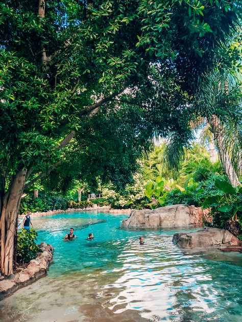 Orlando Florida Photography, Discovery Cove Aesthetic, Discovery Cove Orlando Pictures, Living In Orlando Florida, Places To Go In Orlando Fl, Florida Orlando Aesthetic, Orlando Aquarium, Orlando Florida Aesthetic, Orlando Aesthetic