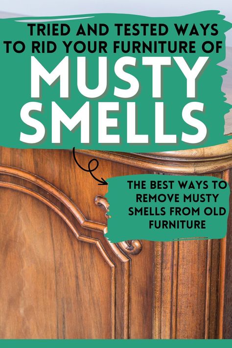 Musty Smell In House, Old House Smells, Old Wood Furniture, Mold Smell, Restore Wood Furniture, Cleaning Wood Furniture, Leather Couches, Mildew Smell, Cleaning Mold