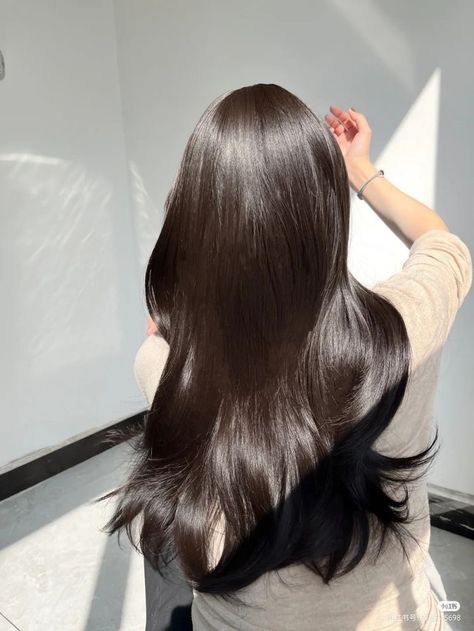 Long Shiny Hair, Hair Style Korea, Long Healthy Hair, Luscious Hair, Silk Hair, Asian Hair, Hair Inspo Color, Silky Hair, Face Hair