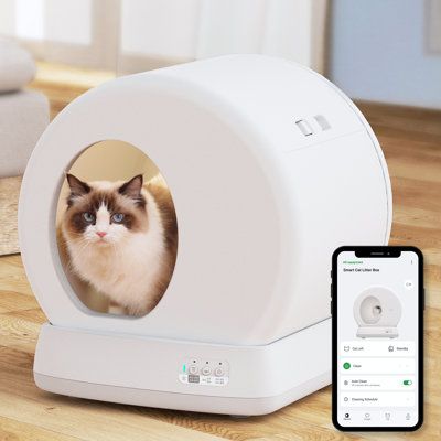 Automatic Cat Litter, Automatic Litter Box, Litter Robot, Self Cleaning Litter Box, Multiple Cats, Cleaning Litter Box, Litter Box Furniture, Cat Litter Box Furniture, Cat Urine