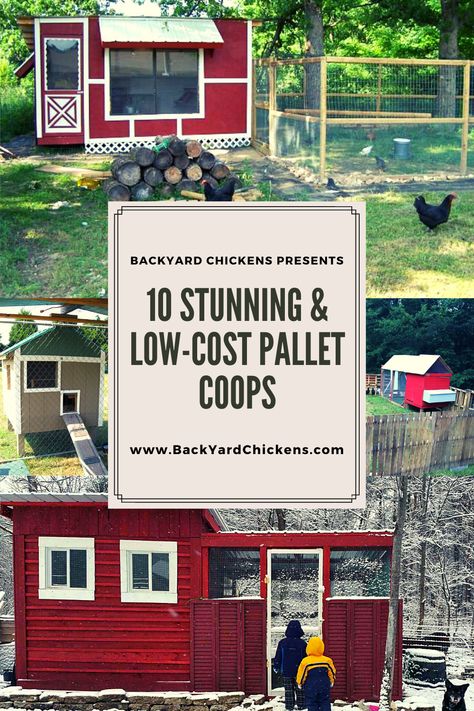 Palette Chicken Coop Diy, Pallet Coop Plans, Nature, Chicken Coop Pallet Ideas, Pallet Chicken Coop Ideas Diy, Chicken Coop Pallets Plans, Chicken Coop Using Pallets, Chicken Coop Made With Pallets, Chicken Coops Pallets