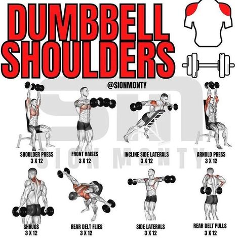 Shoulder Dumbbell Workout, Shoulder Press Workout, Full Shoulder Workout, Dumbbells Workout, Dumbbell Workout Routine, Dumbbell Workout Plan, Shoulder Workouts For Men, Pull Day Workout, Shoulder Workout At Home