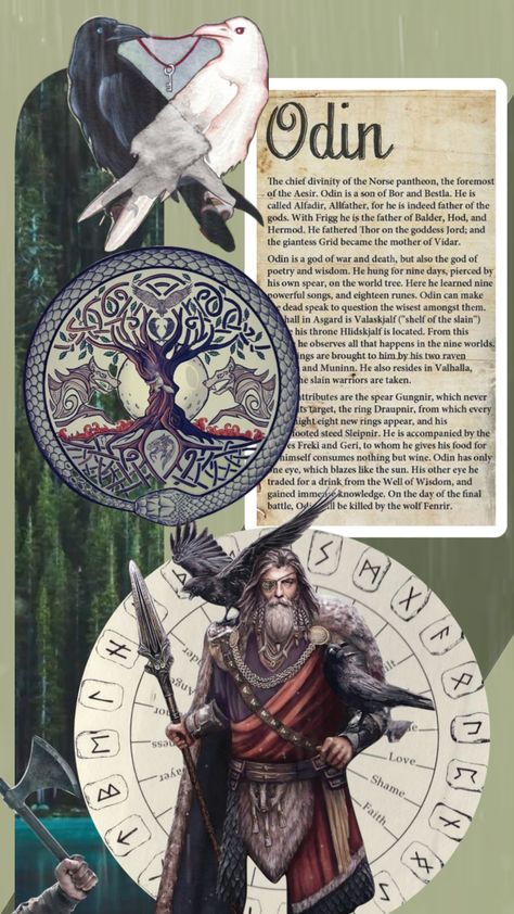 Checkout lifeguidedi's Shuffle #norsemythology #norse #viking #alfadir #allfather #odin #gods #shufflefyp #mythology #mythologyaesthetic #mythological #aestheitc Odin Mythology, Odin Allfather, Odin Norse Mythology, Thor Norse, Odin's Ravens, Odin God, Norse Vikings, Mythology Art, Mythological Creatures