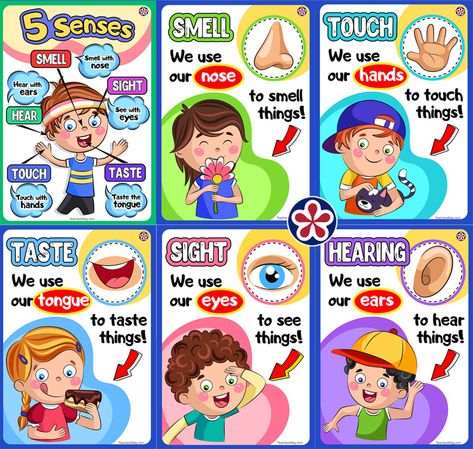 My Five Senses Preschool Crafts, Five Senses Preschool Crafts, 5 Senses Craft, Activities Preschoolers, 5 Senses Preschool, Five Senses Worksheet, Five Senses Preschool, 5 Senses Activities, Preschool Charts