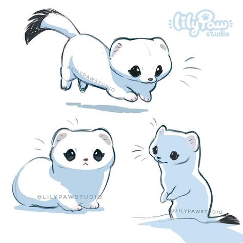 🌸🍃Lily Paw🍃🌸 on Instagram: "Just some ermine studies!🐻‍❄️✨ Lately I have been enjoying doing these sketchy animal studies a lot! I was starting to feel a little burned out of my more complex drawings and decided to let myself be more loose and less worried about perfection, which was very refreshing for my mind 😌✨ Wasn’t going to post them at first because I made them just to have a better understanding of the animal anatomy and shapes but I ended liking them a lot!! So I decided to finall Cute Animal Reference Drawing, Chibi Animal Base, Cute Drawings Animals Kawaii, Ermine Drawing, Animal Reference Drawing, Cute Drawings Animals, Kawaii Animal Drawings, Cute Otters Drawing, Cute Chibi Animals