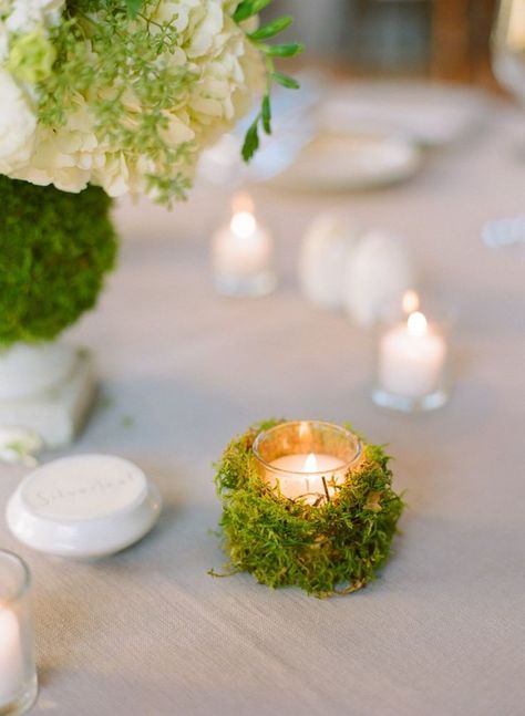 Easy Centerpieces, Outdoor Wedding Centerpieces, Lotr Wedding, Moss Wedding, Centerpiece Flowers, Decoration Plants, Plants Aesthetic, Plant Styling, Decorative Plants