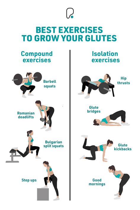 Infographic with 8 exercises that strengthen the glutes Leg And Glute Workouts At Home Weights, Exercise For Glutes Gym, Gym Exercise For Glutes, Gluteus Gym Workout, Glutes Exercises For Women Gym, Grow Your Glutes Gym, Gym Workouts Buttocks, How To Grow Your Lower Glutes, Weights Glute Workout