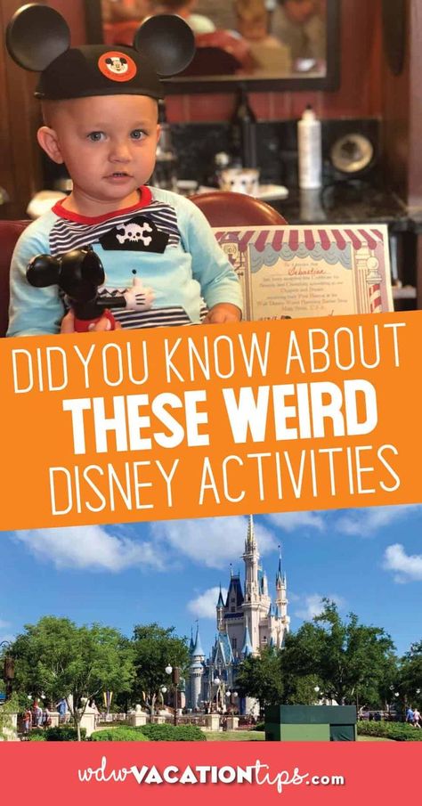 Disney World Planning, Disney World Activities, Disney Activities, Florida Destinations, Family Vacay, Disney Vacation Planning, Vacation Tips, Disney World Parks, Walt Disney World Vacations