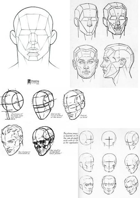 A page to help you understand the planes of the face Andrew Loomis Designs Face Structure Drawing, Draw Heads, Structure Drawing, Planes Of The Face, Garderobe Design, Face Structure, Drawing Heads, 얼굴 드로잉, Drawing Tutorial Face