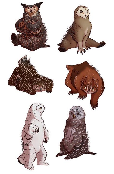 Bug Bear Dnd, Fantasy Animal Concept Art, Owl Bear Dnd, Dnd Dragons, Beast Creature, Creature Artwork, Cool Monsters, One D, Cute Fantasy Creatures