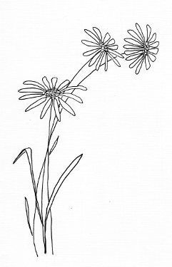 simple daisy drawing - Google Search Simple Daisy Drawing, Free Flower Templates, Daisy Drawing, Simple Flower Drawing, Flower Pattern Drawing, Flower Templates, Drawing Templates, Pola Sulam, 자수 디자인