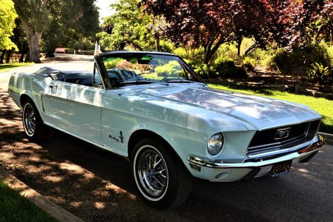 For Sale: 1968 Ford Mustang Convertible (Diamond Blue, J-Code, 302ci V8, 3-speed auto) 1967 Mustang Convertible, Ford Mustang 1968, Elk Grove California, Mustang Old, Ford Mustang 1967, Blue Mustang, 1968 Ford Mustang, 1968 Mustang, 1967 Mustang