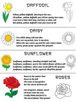 Flower Poems (daffodil,daisy, sunflower,rose) Sunflower Songs Preschool, Poem About Flowers, Daisy Poem, Poems About Flowers, Flower Rhymes, Songs About Flowers, Sunflower Poem, Flowers Poem, Waldorf Verses