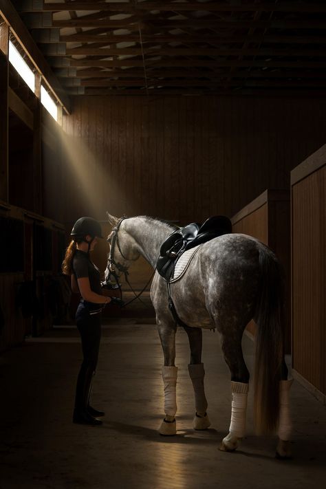 Horse Photoshoot Ideas, Pictures With Horses, Beautiful Horses Photography, Equestrian Aesthetic, Horse Photographer, Horse Dressage, Horse Aesthetic, Dressage Horses, Horse Portrait