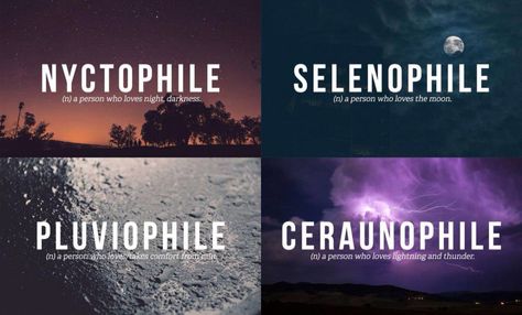 Pluviophile, selenophile and Semi-nyctophile Tumblr, Night Poem, Night Person, Weird Words, Rare Words, Aesthetic Words, Which One Are You, New Words, New Memes