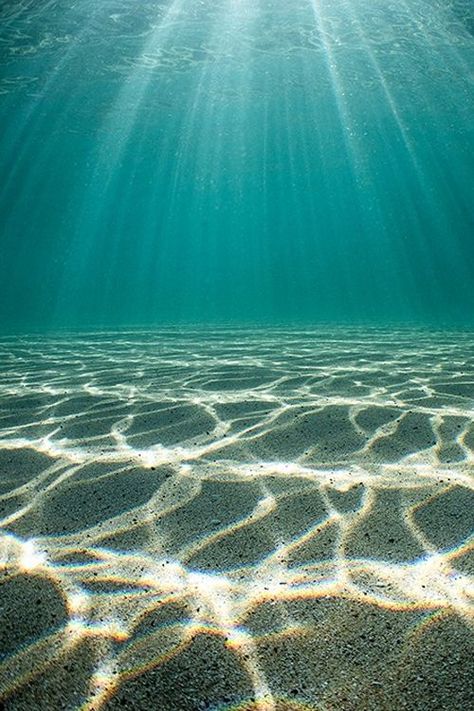 Underwater photography // dreamy design inspiration for our company Coco Moon Underwater Photography, Ocean Life, Matka Natura, Under The Water, Belle Nature, New Backgrounds, Ocean Photography, Sea And Ocean, Ocean Beach