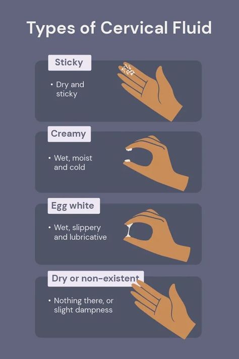 Clear Discharge Meaning, Menstrual Cycle Phases Discharge, Different Discharge Meanings, Discharge Female Chart Before Period, Types Of Discharge Female, White Discharge Woman, Discharge Color Meaning, Discharge Female Chart, Menstrual Cycle Phases