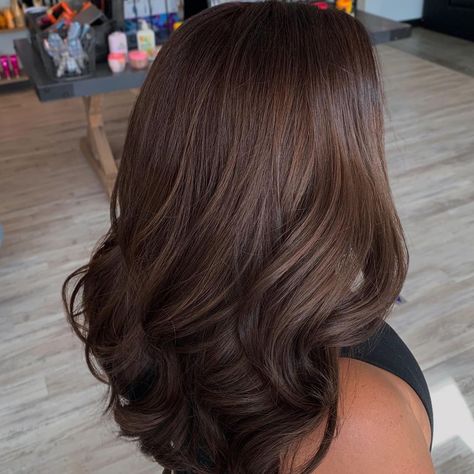 Brown Full Hair Color, Full Color Hair Ideas Brown, Light Brown Global Hair Color, Brunette Hair Solid Color, All Brown Hair Color, Dark Brown Hair One Color, Single Color Brown Hair, Single Color Hair Brown, Brown Hair Colors No Highlights