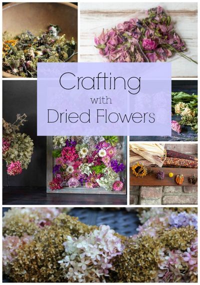 Nature, Dried Petals Crafts, Dried Flowers In Resin Ideas, Dried Flowers Ideas Decor Wall Art, Dried Flower Arrangements Home Decor, Aesthetic Origami, Dried Flower Crafts, Dried Flower Display, Dried Flowers Crafts