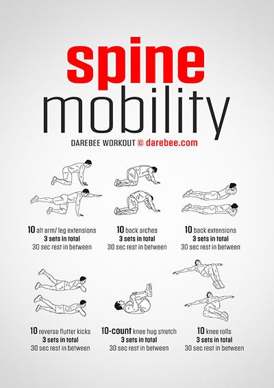 Darebee Workout, Wrestling Workout, Spine Mobility, Spinal Column, Full Body Workout Routine, Body Workout Plan, Workout Chart, Free Workouts, Gym Workout Tips