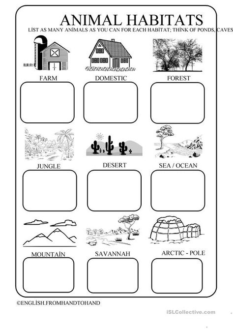 Animals Habitats - English ESL Worksheets for distance learning and physical classrooms Different Habitats Of Animals, Animal Habitats Kindergarten Projects, Where Do Animals Live Worksheet, Classifying Animals Worksheet, Habitats For Preschool, Animal Habitats Activities For Kids, Habitats Activities For Kids, Animals Habitat Worksheet, 1st Grade Social Studies Worksheets