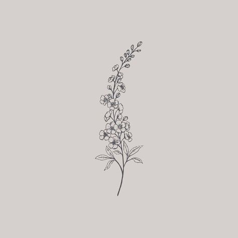 518 Likes, 3 Comments - Gooseberry Moon | Nicola Jones (@gooseberrymoon) on Instagram: “Delphinium line drawing. It's just asking to be turned into a repeat pattern!” Tattoo Ideas Larkspur, Adonis Flower Tattoo, Larkspur Flower Drawing Tattoo Ideas, Larkspur Embroidery, Water Lily And Larkspur Tattoo, Fireweed Drawing, Larkspur Tattoo Design, Larkspur Flower Drawing, Larkspur Drawing