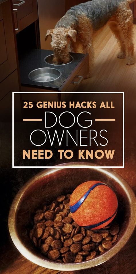 Puppy Training Hacks, Dog Hacks House, Dog Owner Must Haves, Ikea Dog Hacks, Vaseline Tricks, Dog Eating Area, Dog Ideas For The Home, Dog Must Haves, Ikea Dog