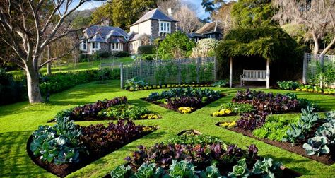 beautiful veg garden Garden Types, Plantarea Legumelor, Vegetable Garden Planner, Potager Garden, Garden Planner, Vegetable Gardens, Veg Garden, Have Inspiration, Home Vegetable Garden