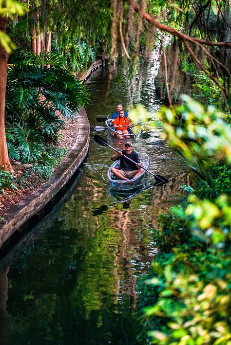 Clear Kayak, Florida Vacation Spots, Florida Travel Destinations, Kentucky Travel, Florida Parks, Beautiful Florida, Winter Park Florida, Florida Adventures, Waterfall Trail