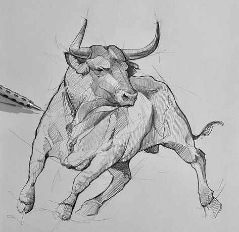 Sketch. Insta| @art_iusupov Bull Art Drawing, Bear Sketch, Bull Painting, Cow Drawing, Bull Art, Bull Tattoos, Pencil Drawings Of Animals, Animal Drawings Sketches, Pet Dragon